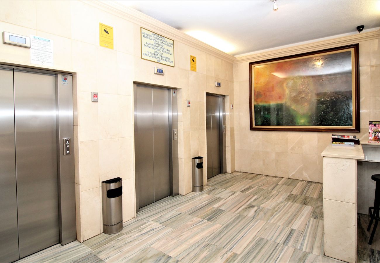 Appartement in Benidorm -  Acuarium 3-19-E Apartment Levante Beach Appartement in Benidorm -  Acuarium 3-19-E Apartment Levante Beach