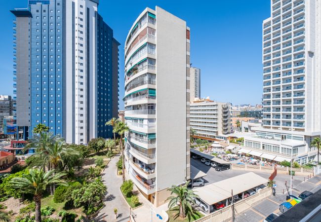 Appartement in Benidorm - Donna II 7-32 Apartment Levante Beach-Old Town Appartement in Benidorm - Donna II 7-32 Apartment Levante Beach-Old Town