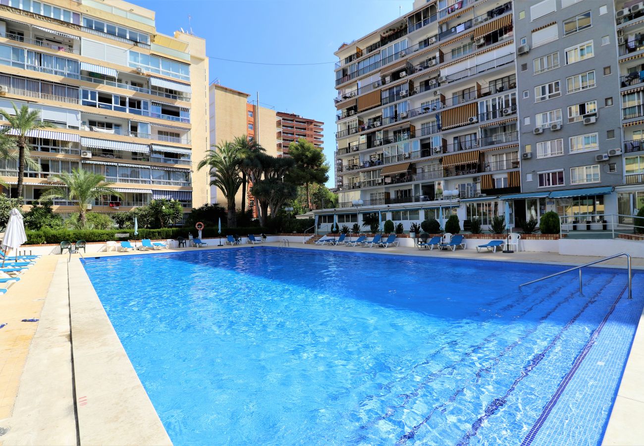 Appartement in Benidorm - Bermudas 313 Appartement in Benidorm - Bermudas 313