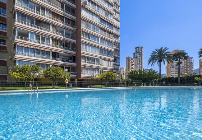 Appartement in Benidorm -  Lidersol 11-D Apartment Levante Area Appartement in Benidorm -  Lidersol 11-D Apartment Levante Area