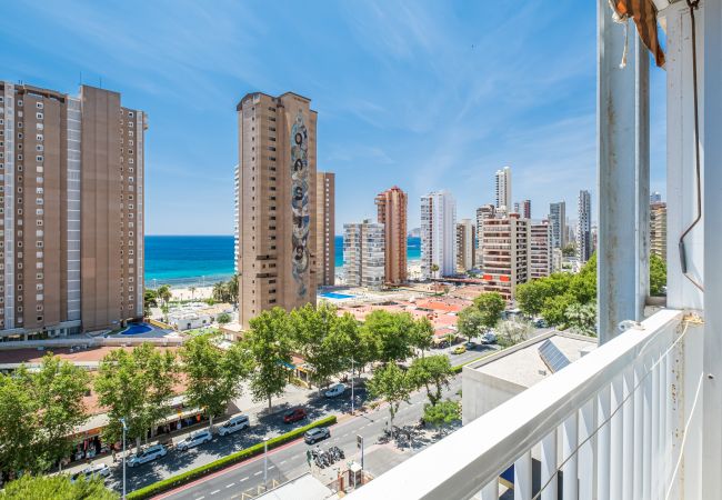 Studio in Benidorm - Albatros 12-8 Sea Views Levante Beach Studio in Benidorm - Albatros 12-8 Sea Views Levante Beach