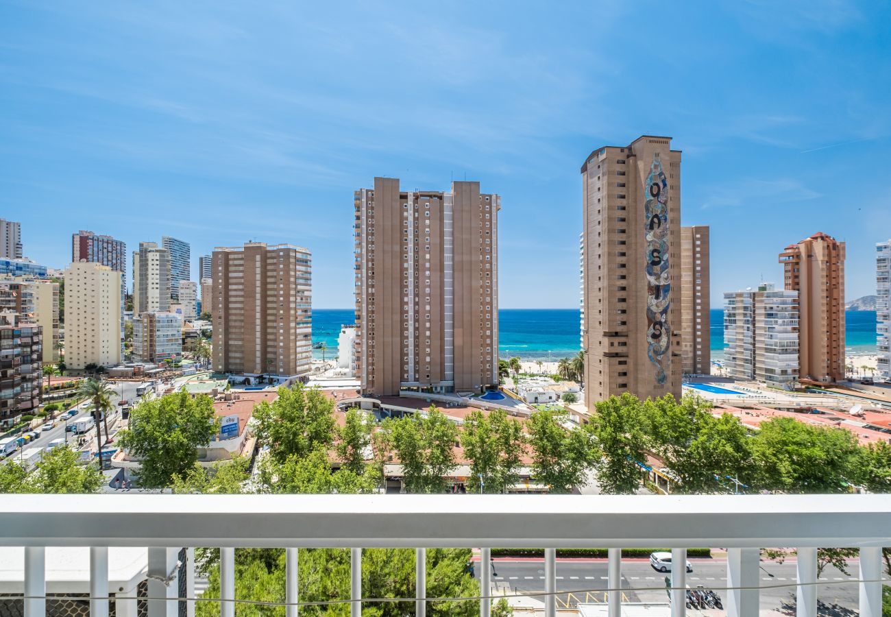 Studio in Benidorm - Albatros 12-8 Sea Views Levante Beach