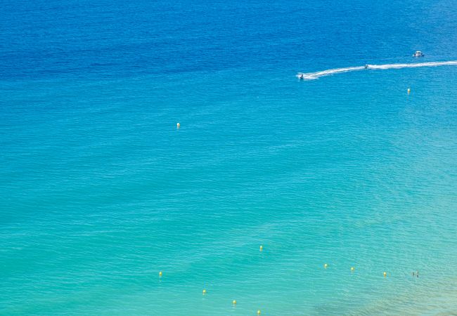 Appartement in Benidorm -  Las Damas 23-E Levante Beach Appartement in Benidorm -  Las Damas 23-E Levante Beach