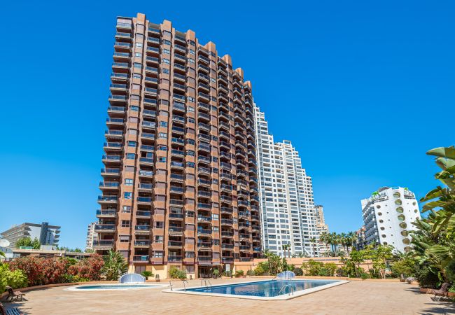 Appartement in Benidorm - Torre Mar 20-F Apartment Levante Beach Appartement in Benidorm - Torre Mar 20-F Apartment Levante Beach