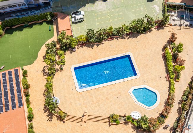 Appartement in Benidorm - Torre Mar 20-F Apartment Levante Beach Appartement in Benidorm - Torre Mar 20-F Apartment Levante Beach