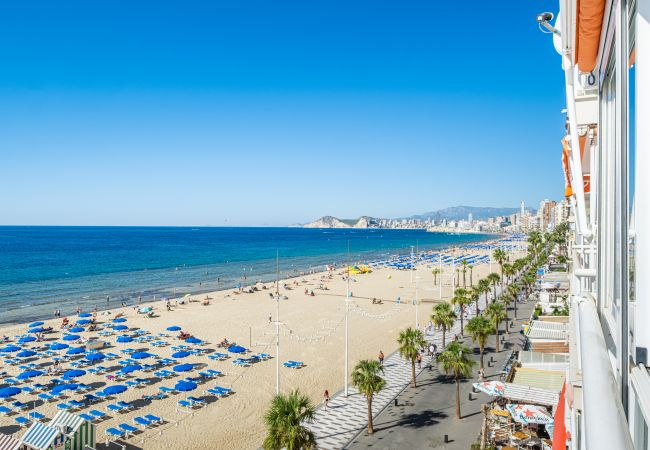 Appartement in Benidorm - Veracruz 5-C Deluxe Apartment Levante Beach Appartement in Benidorm - Veracruz 5-C Deluxe Apartment Levante Beach