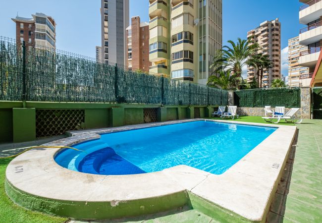 Appartement in Benidorm - Carlos V 3-A Apartment Levante Beach Appartement in Benidorm - Carlos V 3-A Apartment Levante Beach