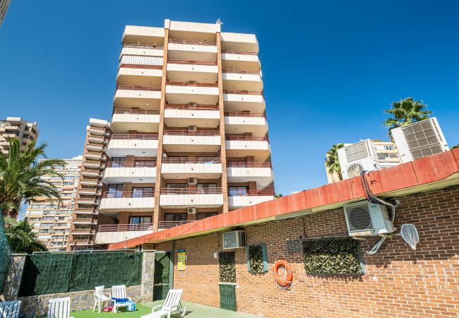 Appartement in Benidorm - Carlos V 3-A Apartment Levante Beach Appartement in Benidorm - Carlos V 3-A Apartment Levante Beach