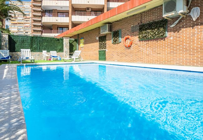 Appartement in Benidorm - Carlos V 3-A Apartment Levante Beach Appartement in Benidorm - Carlos V 3-A Apartment Levante Beach