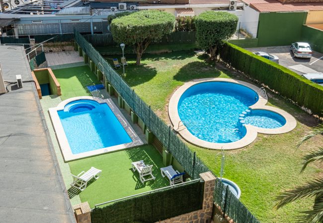 Appartement in Benidorm - Carlos V 3-A Apartment Levante Beach Appartement in Benidorm - Carlos V 3-A Apartment Levante Beach