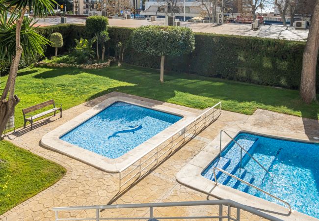 Appartement in Benidorm - Albatros 2-7 Apartment Levante Beach Appartement in Benidorm - Albatros 2-7 Apartment Levante Beach