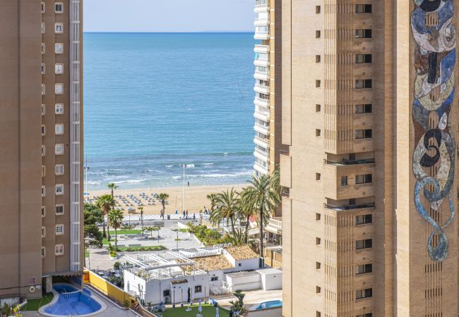 Studio in Benidorm -  Albatros 14-10 Estudio Levante Beach Studio in Benidorm -  Albatros 14-10 Estudio Levante Beach