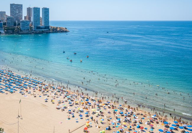 Appartement in Benidorm -  Santa Margarita Deluxe 14-C Levante Beach Appartement in Benidorm -  Santa Margarita Deluxe 14-C Levante Beach