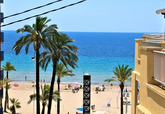 Appartement in Benidorm -  Penthouse Ancla 461 Levante Beach Appartement in Benidorm -  Penthouse Ancla 461 Levante Beach