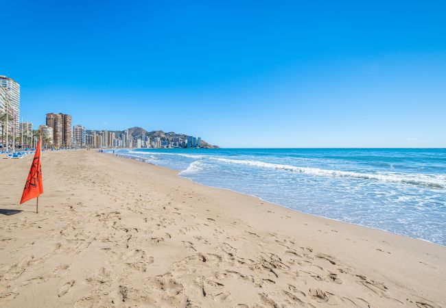 Appartement in Benidorm -  Penthouse Ancla 461 Levante Beach Appartement in Benidorm -  Penthouse Ancla 461 Levante Beach