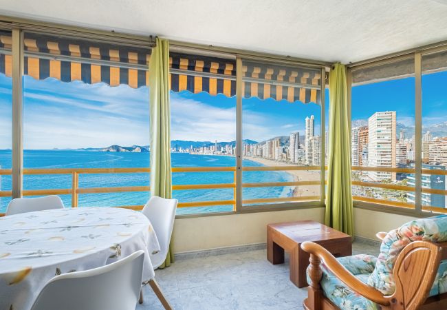  in Benidorm -  Don Miguel 1 10-B Apartment Levante Beach