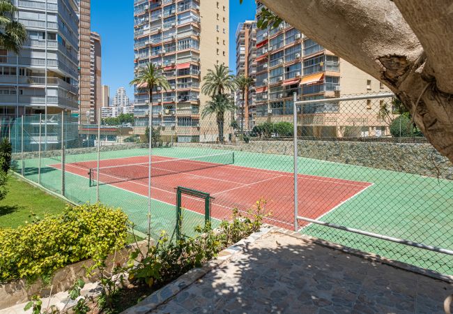 Appartement in Benidorm -  Don Miguel 1 10-B Apartment Levante Beach Appartement in Benidorm -  Don Miguel 1 10-B Apartment Levante Beach