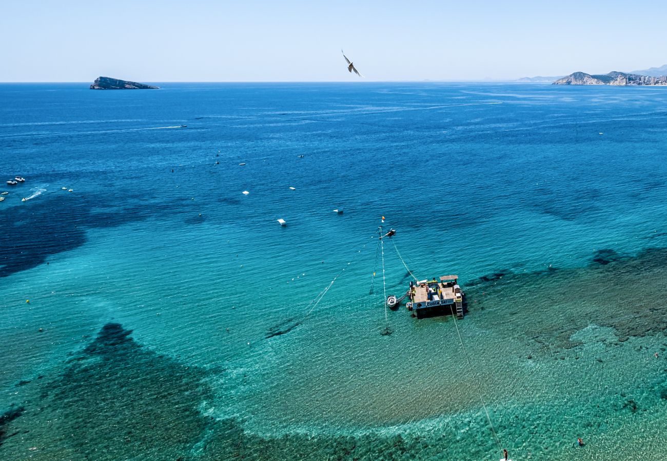 Appartement in Benidorm -  Don Miguel 1 10-B Apartment Levante Beach Appartement in Benidorm -  Don Miguel 1 10-B Apartment Levante Beach