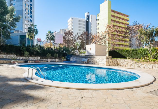 Appartement in Benidorm - Auge 4-A Apartment Levante Beach Appartement in Benidorm - Auge 4-A Apartment Levante Beach
