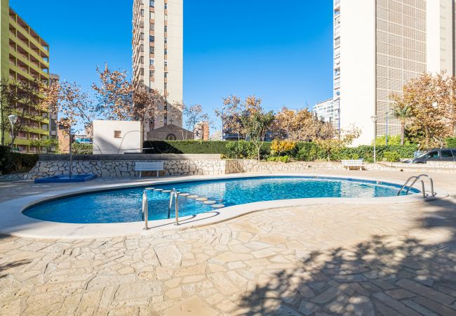 Appartement in Benidorm - Auge 4-A Apartment Levante Beach Appartement in Benidorm - Auge 4-A Apartment Levante Beach