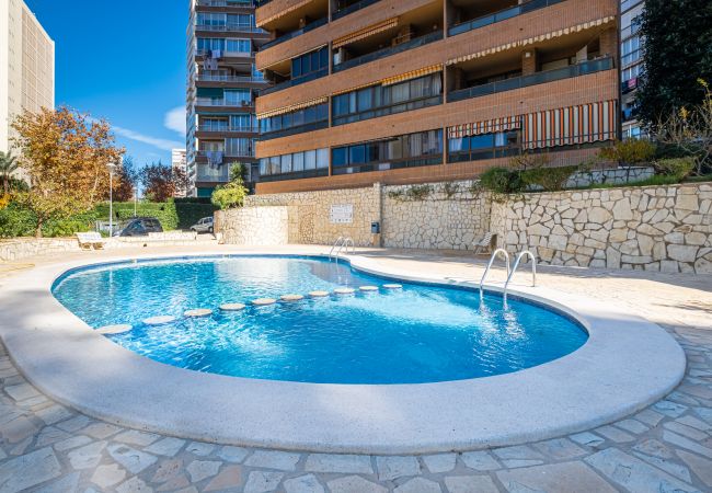 Appartement in Benidorm - Auge 4-A Apartment Levante Beach Appartement in Benidorm - Auge 4-A Apartment Levante Beach