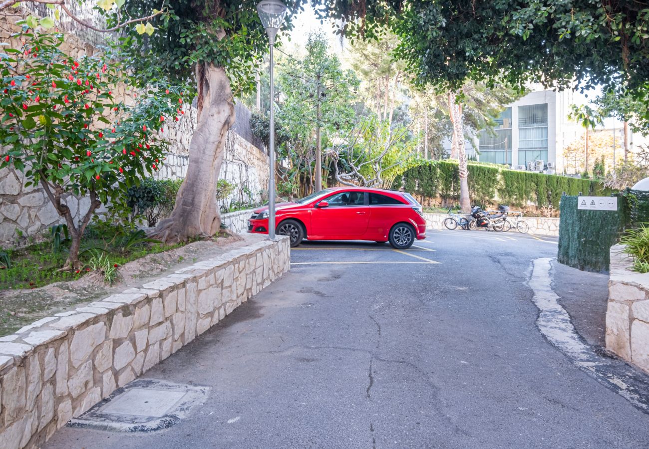 Appartement in Benidorm - Auge 4-A Apartment Levante Beach Appartement in Benidorm - Auge 4-A Apartment Levante Beach