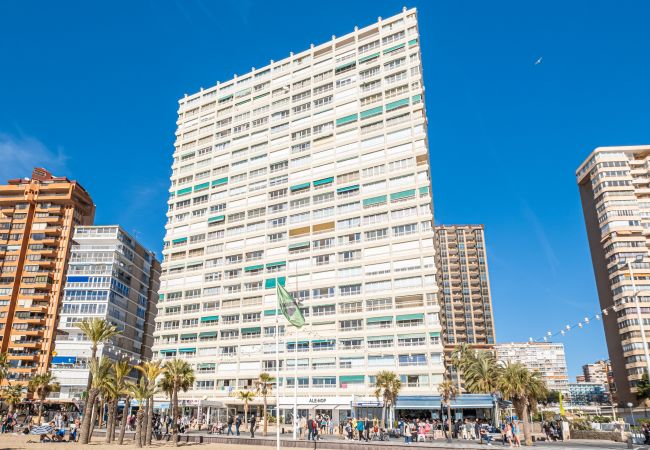 Appartement in Benidorm - Torre Principado 20-D Apartment Levante Beach Appartement in Benidorm - Torre Principado 20-D Apartment Levante Beach