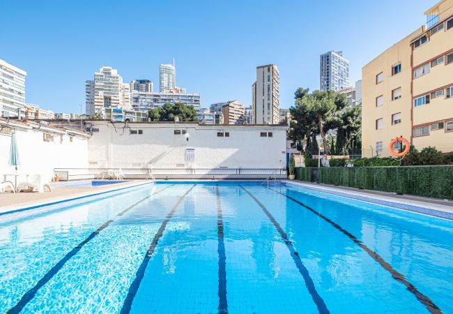 Appartement in Benidorm -  Piscis 10-8 Apartment Levante Beach Appartement in Benidorm -  Piscis 10-8 Apartment Levante Beach