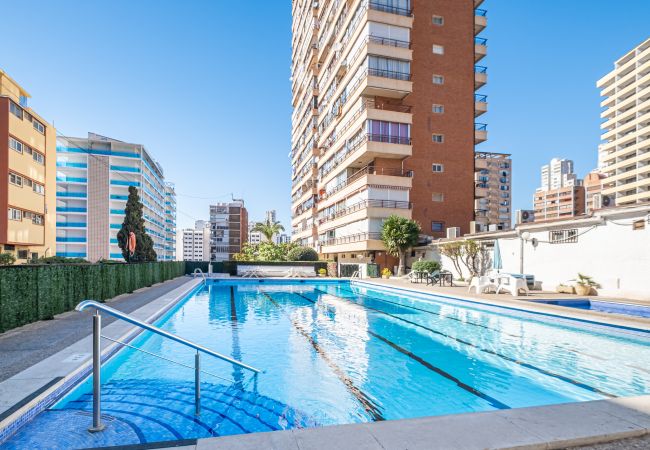 Appartement in Benidorm -  Piscis 10-8 Apartment Levante Beach Appartement in Benidorm -  Piscis 10-8 Apartment Levante Beach