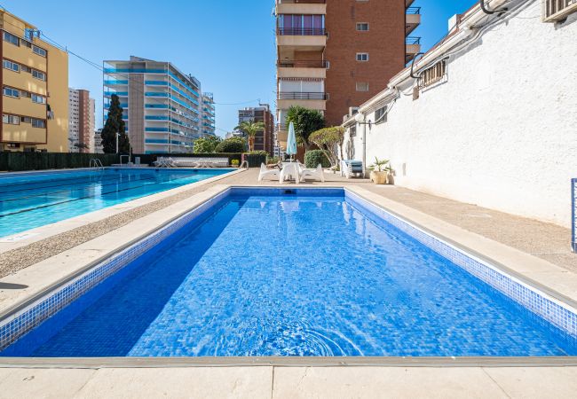 Appartement in Benidorm -  Piscis 10-8 Apartment Levante Beach Appartement in Benidorm -  Piscis 10-8 Apartment Levante Beach