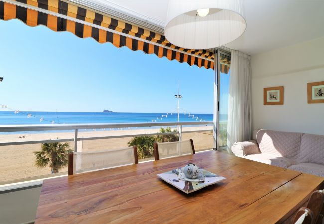 Appartement in Benidorm - Carolina 1-C Appartement in Benidorm - Carolina 1-C