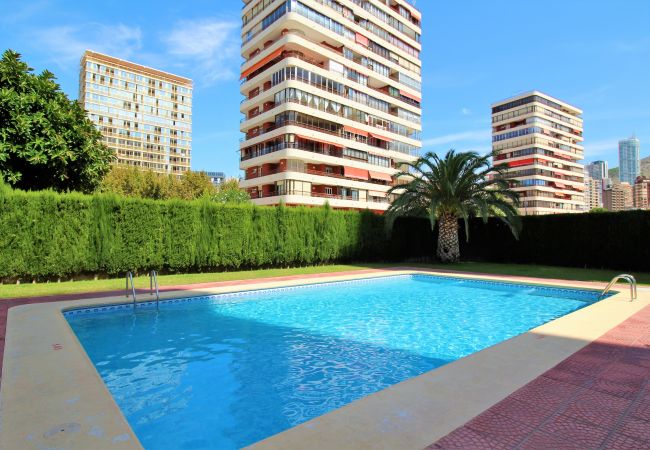Appartement in Benidorm - Carolina 1-C Appartement in Benidorm - Carolina 1-C