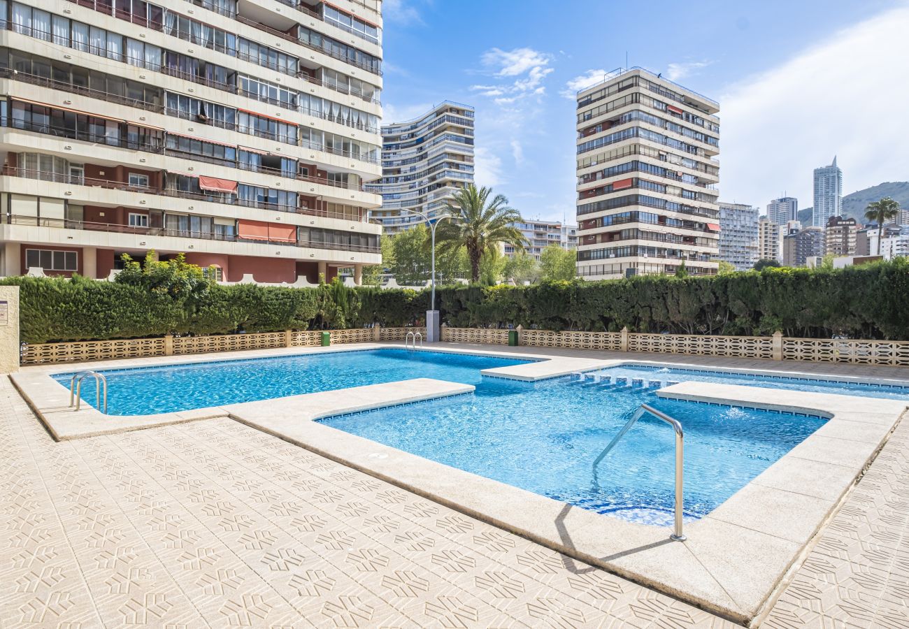 Appartement in Benidorm - Veracruz 17-B Deluxe Apartament Levante Beach Appartement in Benidorm - Veracruz 17-B Deluxe Apartament Levante Beach