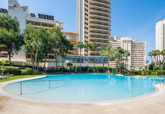 Appartement in Benidorm -  Gemelos 22-3-21D Apartment Deluxe Levante Beach Appartement in Benidorm -  Gemelos 22-3-21D Apartment Deluxe Levante Beach