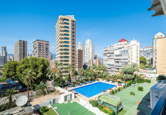 Appartement in Benidorm - Bermudas 401 Apartment Levante-Rincón de Loix Area Appartement in Benidorm - Bermudas 401 Apartment Levante-Rincón de Loix Area