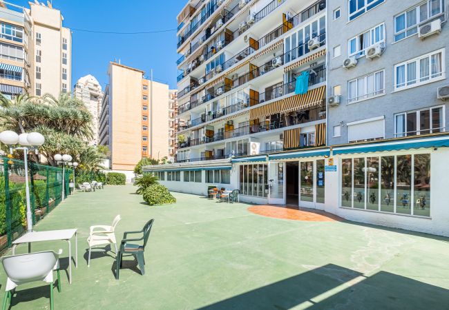Appartement in Benidorm - Bermudas 401 Apartment Levante-Rincón de Loix Area Appartement in Benidorm - Bermudas 401 Apartment Levante-Rincón de Loix Area