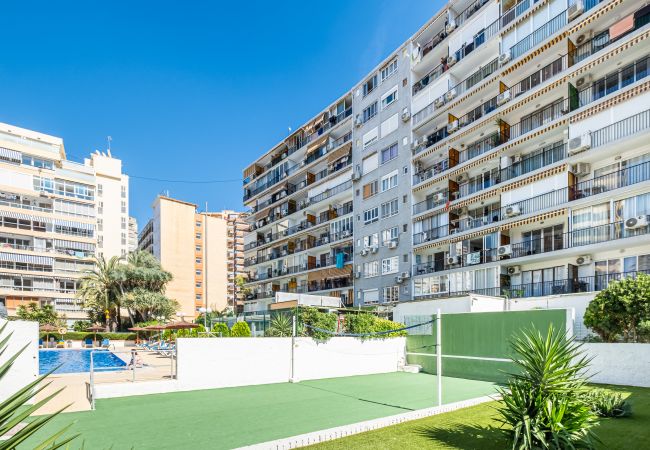 Appartement in Benidorm - Bermudas 401 Apartment Levante-Rincón de Loix Area Appartement in Benidorm - Bermudas 401 Apartment Levante-Rincón de Loix Area