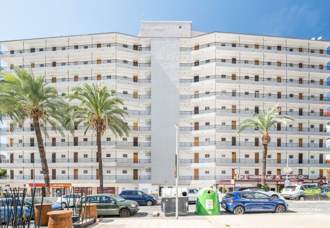 Appartement in Benidorm - Bermudas 401 Apartment Levante-Rincón de Loix Area Appartement in Benidorm - Bermudas 401 Apartment Levante-Rincón de Loix Area