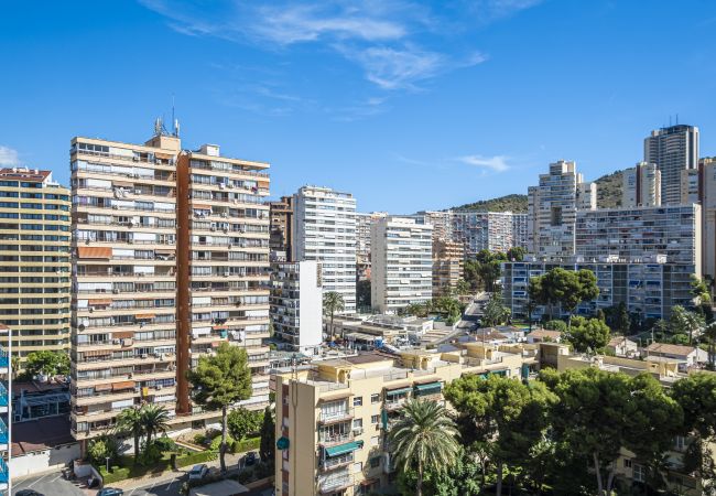 Appartement in Benidorm -  Don Paco 12-B Deluxe Apartment Levante Beach Appartement in Benidorm -  Don Paco 12-B Deluxe Apartment Levante Beach