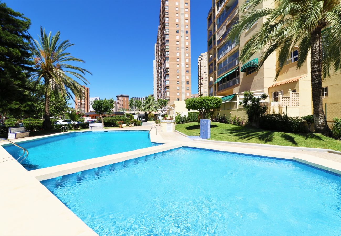 Appartement in Benidorm - Alteanos 16-2 Apartment Levante Beach Appartement in Benidorm - Alteanos 16-2 Apartment Levante Beach