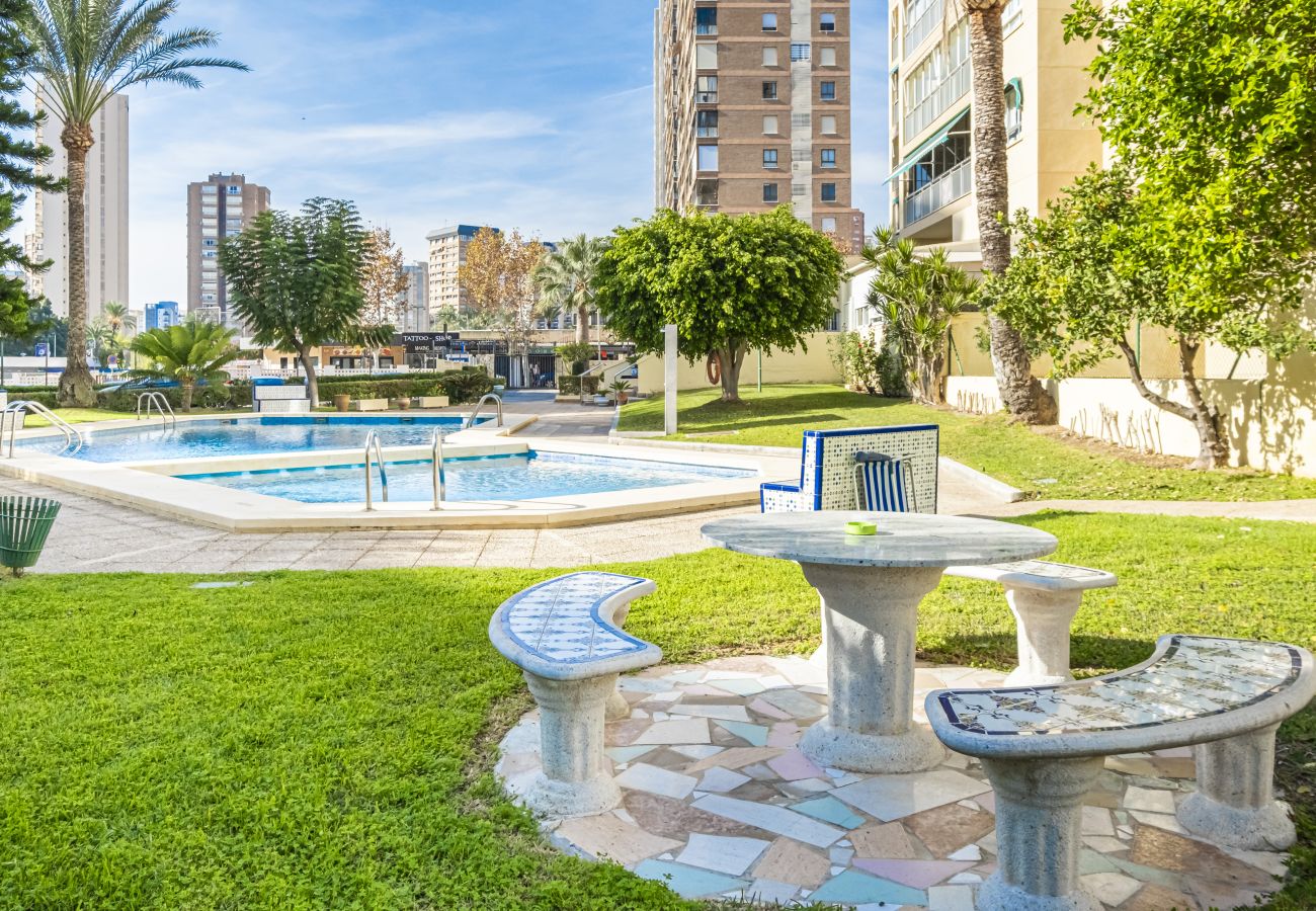 Appartement in Benidorm - Alteanos 16-2 Apartment Levante Beach Appartement in Benidorm - Alteanos 16-2 Apartment Levante Beach