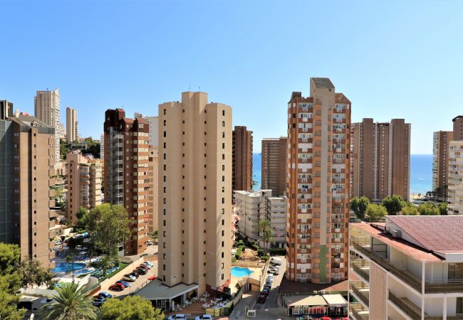 Appartement in Benidorm - Piscis 12-1 Appartement in Benidorm - Piscis 12-1
