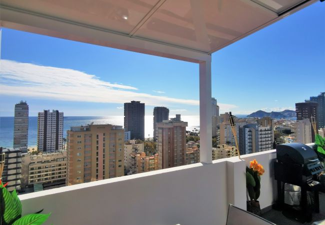 Studio in Benidorm - Penthouse Cervantes Sea View Levante Beach Studio in Benidorm - Penthouse Cervantes Sea View Levante Beach