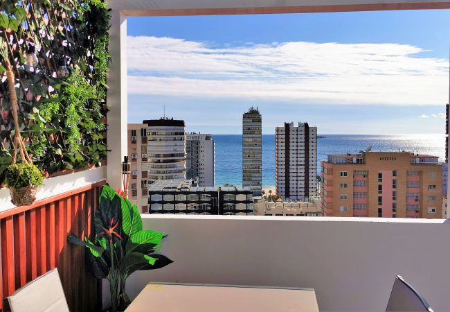 Studio in Benidorm - Penthouse Cervantes Sea View Levante Beach Studio in Benidorm - Penthouse Cervantes Sea View Levante Beach
