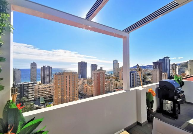 Studio in Benidorm - Penthouse Cervantes Sea View Levante Beach Studio in Benidorm - Penthouse Cervantes Sea View Levante Beach