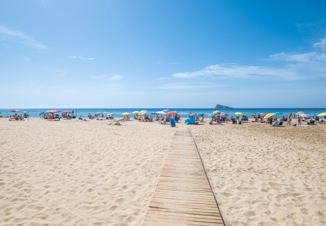 Studio in Benidorm - Penthouse Cervantes Sea View Levante Beach Studio in Benidorm - Penthouse Cervantes Sea View Levante Beach