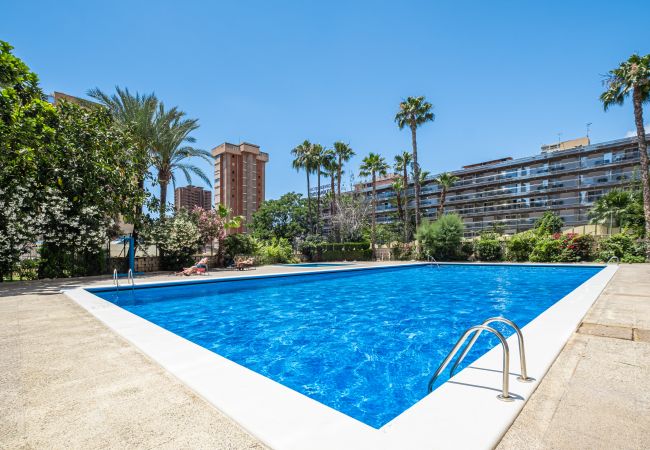 Studio in Benidorm - Penthouse Cervantes Sea View Levante Beach Studio in Benidorm - Penthouse Cervantes Sea View Levante Beach