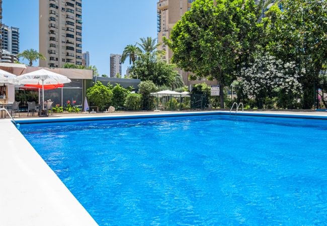 Studio in Benidorm - Penthouse Cervantes Sea View Levante Beach Studio in Benidorm - Penthouse Cervantes Sea View Levante Beach