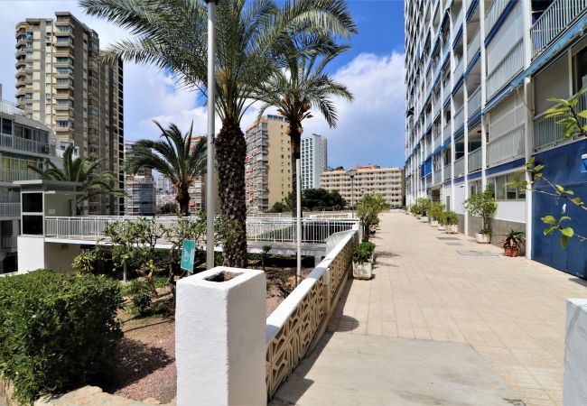 Appartement in Benidorm - Halcón Deluxe 5-A Appartement in Benidorm - Halcón Deluxe 5-A