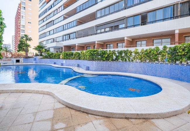 Appartement in Benidorm - Trinisoll II 6-C Sea views Apartment Levante Beach Appartement in Benidorm - Trinisoll II 6-C Sea views Apartment Levante Beach